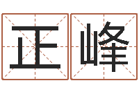 李正峰大六壬金鉸剪-鼠宝宝取名字姓张