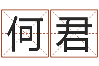 何君韩国文化风水图-公司如何取名