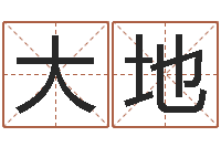 张大地八字算命-网络公司名字