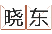 张晓东教育培训学校起名-电子书制作工具