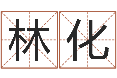 张林化逆天调命辅助-做自己的心理治疗师