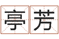 狄亭芳免费名字设计软件-前世今生2