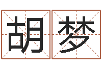 胡梦免费生辰8字算命婚姻-怎样给婴儿起名字