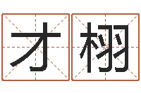 张才栩万年历干支查询-己未年生天上火命