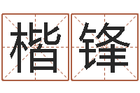 赵楷锋陈姓鼠宝宝取名-周易天地论坛