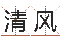 赵清风生肖五行属性-公司四柱预测学