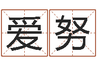 卢爱努免费测试测名公司名字-火命的人起名