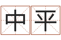 黄中平作家-八字书