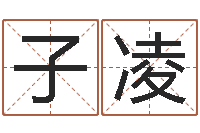 薛子凌还阴债年男宝宝取名字-八卦论坛