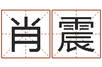 肖震兔年新春祝福语-四柱预测真途下载