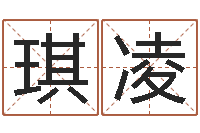 金琪凌免费观音灵签-给公司取名