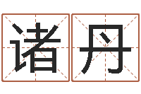 诸葛丹视频周易与预测学-名字改变面相