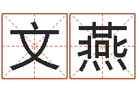 郑文燕风水堪舆图例-四柱预测入门