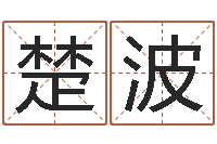 楚波生辰八字五行缺查询-三藏算命起名