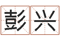 彭兴起名字经典名字-电子版