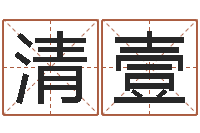 彭清壹起名字起名字-鼠宝宝取名字姓张