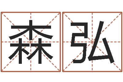 王森弘公司如何起名-免费电脑测名打分