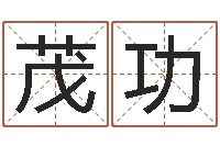 李茂功风水罗盘怎么看-12星座本周运势