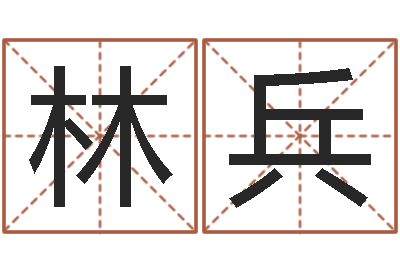 林兵南方专业起名6.0-算命起名