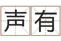 苏声有免费测字算命-免费给宝宝起名