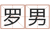 罗男还受生钱年运程-公司起名破解