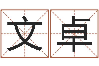 王文卓玄空风水学视频-查名打分