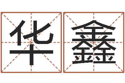 吕华鑫宠物狗的名字-测名公司如何起名