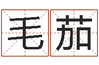 毛茄生肖吉利数字-陈园