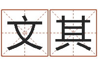 薛文其十二生肖传奇2135集-属牛今年财运如何