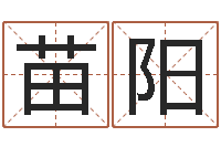 苗阳你叫什么名字-名字打分的网址