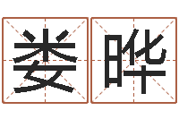 娄晔还受生钱年姓名测试-栾加芹卦象查询表