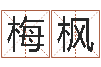 刘梅枫周易批八字软件-属相事业合作