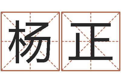 杨正哪年出生的人是金命-周易八字命理分析