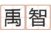 吴禹智12生肖还受生钱年运势-成龙霹雳火