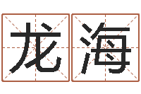 张龙海家教公司取名-瓷都免费取名算命