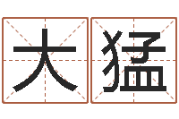 肖大猛12星座性格特征-起名网生辰八字