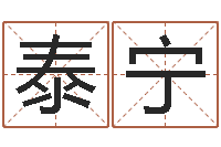 古泰宁生辰八字查询-卫生间风水