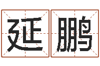 孙延鹏起名字空间免费背景名字-北京调命运集测名数据大全培训班