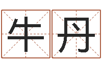 牛丹广告测名公司起名-生辰八字与起名