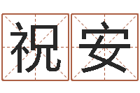 庞祝安公司如何取名-田宝宝起名字