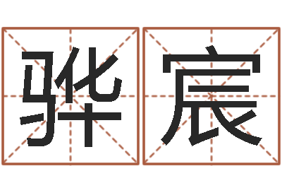 毕骅宸卜卦占-四柱软件