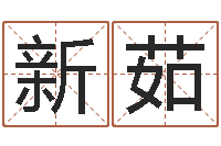 曹新茹包头风水起名-国学培训机构