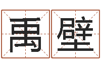 郭禹壁大冢爱星象仪中文版-形式婚姻