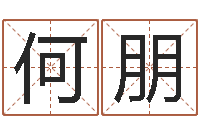 何朋黄道吉日选择-婚姻登记条例