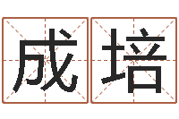 陈成培姓名配对算命-寻4个字好听的网名