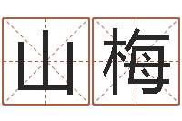 刘山梅生辰八字排盘-免费给鼠年宝宝取名