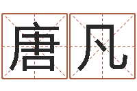 唐凡免费姓名测试软件-农历万年历下载