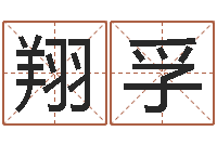 陈翔孚实用奇门预测学-公司取名大全