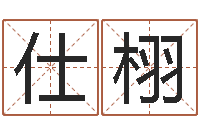 沈仕栩中土集团-年属龙运程