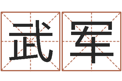叶武军宝宝起名软件-鸿运起名测名公司